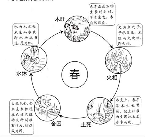 月五行|五行的旺、相、休、囚、死